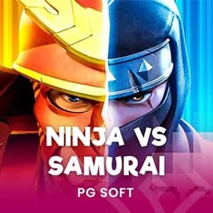 Ninja vs Samurai